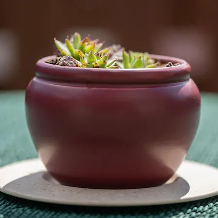 Engelmann, 35107 아파트