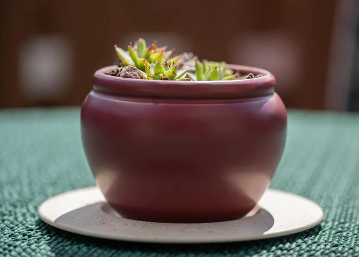 Engelmann, 35107 شقة